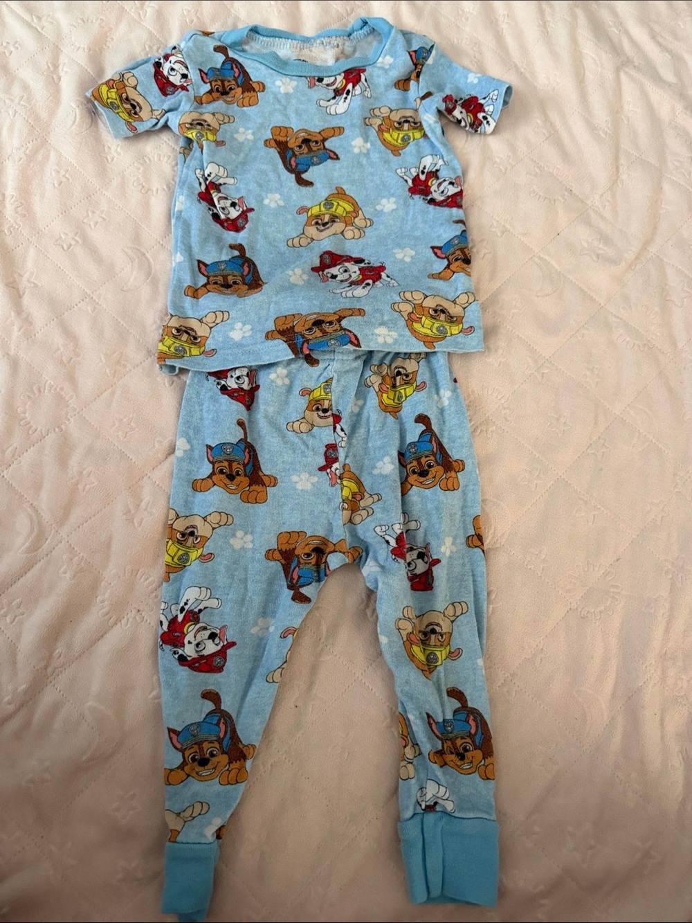 Paw Patrol Light Blue Short Sleeve Pajama Set with Character Print